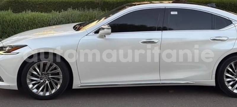 Big with watermark lexus es wilaya du trarza arafat 5178