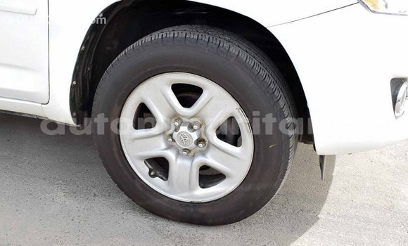 Acheter Import Utilitaire Toyota HiAce Blanc à Import - Dubai, Adrar