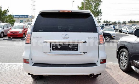 Acheter Import Voiture Lexus GX Blanc à Import - Dubai, Adrar Acheter Import Voiture Lexus GX Blanc à Import - Dubai, Adrar