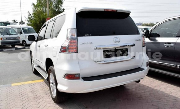 Acheter Import Voiture Lexus GX Blanc à Import - Dubai, Adrar Acheter Import Voiture Lexus GX Blanc à Import - Dubai, Adrar