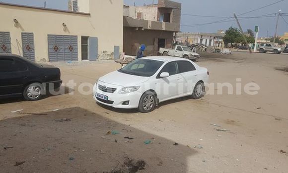 Buy Used Toyota Corolla White Car in Nouakchott in West Nouakchott Buy Used Toyota Corolla White Car in Nouakchott in West Nouakchott