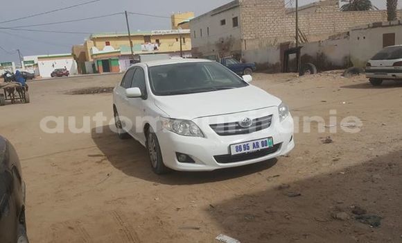 Buy Used Toyota Corolla White Car in Nouakchott in West Nouakchott Buy Used Toyota Corolla White Car in Nouakchott in West Nouakchott