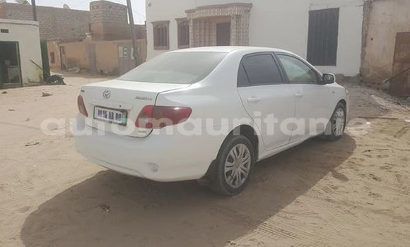 Buy Used Toyota Corolla White Car in Nouakchott in West Nouakchott Buy Used Toyota Corolla White Car in Nouakchott in West Nouakchott