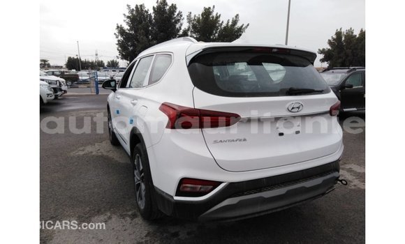 Buy Import Hyundai Santa Fe White Car in Import - Dubai in Adrar Buy Import Hyundai Santa Fe White Car in Import - Dubai in Adrar