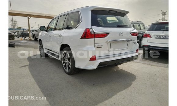 Buy Import Lexus LX White Car in Import - Dubai in Adrar Buy Import Lexus LX White Car in Import - Dubai in Adrar