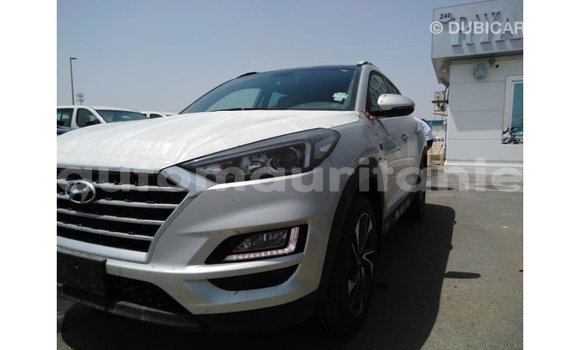 Buy Import Hyundai Tucson Other Car in Import - Dubai in Adrar Buy Import Hyundai Tucson Other Car in Import - Dubai in Adrar