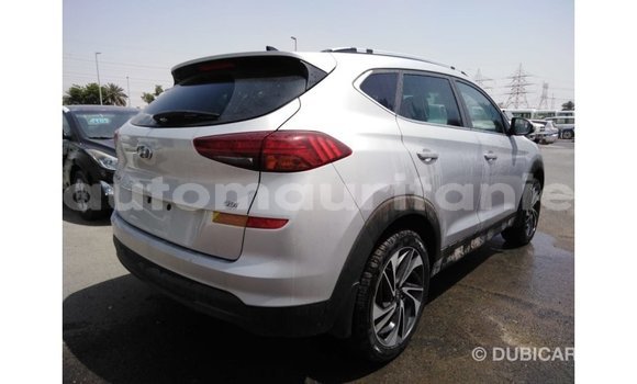 Buy Import Hyundai Tucson Other Car in Import - Dubai in Adrar Buy Import Hyundai Tucson Other Car in Import - Dubai in Adrar