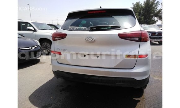 Buy Import Hyundai Tucson Other Car in Import - Dubai in Adrar Buy Import Hyundai Tucson Other Car in Import - Dubai in Adrar