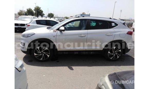 Buy Import Hyundai Tucson Other Car in Import - Dubai in Adrar Buy Import Hyundai Tucson Other Car in Import - Dubai in Adrar