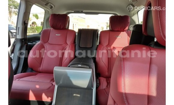 Buy Import Toyota Land Cruiser Black Car in Import - Dubai in Adrar Buy Import Toyota Land Cruiser Black Car in Import - Dubai in Adrar