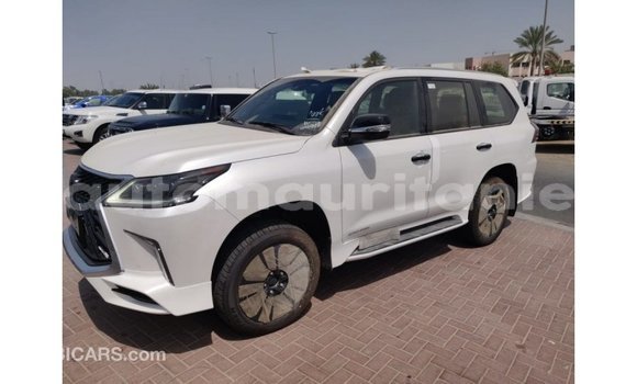 Buy Import Lexus LX White Car in Import - Dubai in Adrar Buy Import Lexus LX White Car in Import - Dubai in Adrar
