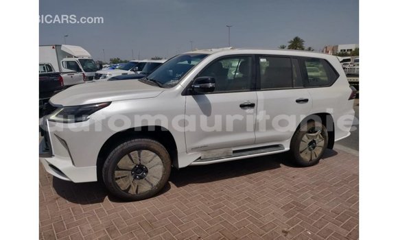 Buy Import Lexus LX White Car in Import - Dubai in Adrar Buy Import Lexus LX White Car in Import - Dubai in Adrar
