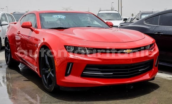 Acheter Import Voiture Chevrolet Camaro Rouge à Import - Dubai, Adrar