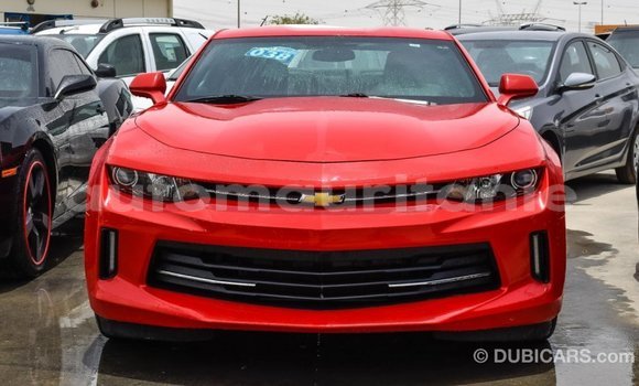 Acheter Import Voiture Chevrolet Camaro Rouge à Import - Dubai, Adrar Acheter Import Voiture Chevrolet Camaro Rouge à Import - Dubai, Adrar