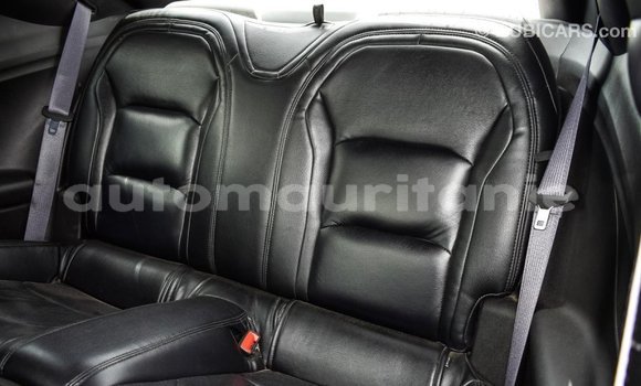 Acheter Import Voiture Chevrolet Camaro Rouge à Import - Dubai, Adrar Acheter Import Voiture Chevrolet Camaro Rouge à Import - Dubai, Adrar