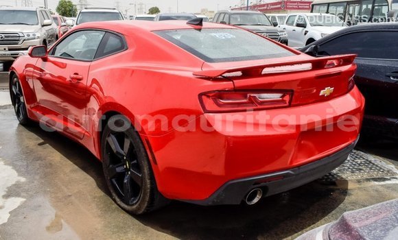 Acheter Import Voiture Chevrolet Camaro Rouge à Import - Dubai, Adrar Acheter Import Voiture Chevrolet Camaro Rouge à Import - Dubai, Adrar