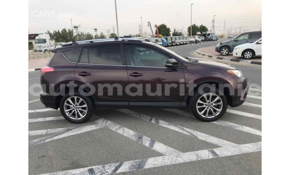 Buy Import Toyota HiAce Other Truck in Import - Dubai in Adrar Buy Import Toyota HiAce Other Truck in Import - Dubai in Adrar