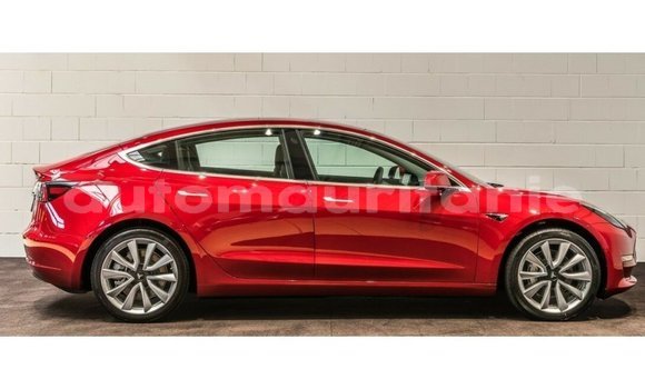 Buy Import Tesla Model 3 Red Car in Import - Dubai in Adrar Buy Import Tesla Model 3 Red Car in Import - Dubai in Adrar