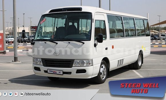 Acheter Import Voiture Toyota Coaster Blanc à Import - Dubai, Adrar Acheter Import Voiture Toyota Coaster Blanc à Import - Dubai, Adrar