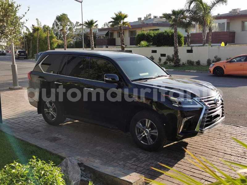 Big with watermark 8624458e 181f 4c13 9819 364de8346747