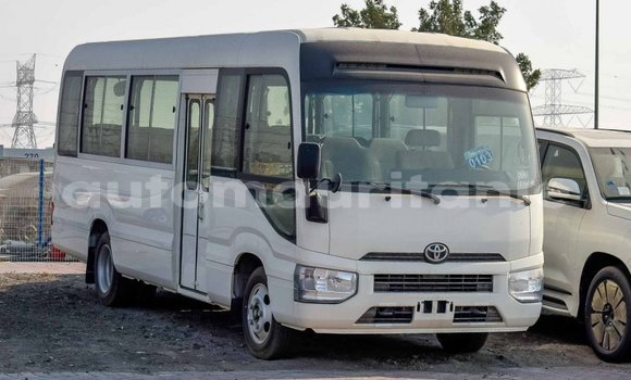 Acheter Import Voiture Toyota Coaster Blanc à Import - Dubai, Adrar Acheter Import Voiture Toyota Coaster Blanc à Import - Dubai, Adrar