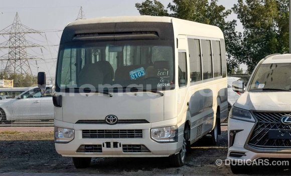 Acheter Import Voiture Toyota Coaster Blanc à Import - Dubai, Adrar Acheter Import Voiture Toyota Coaster Blanc à Import - Dubai, Adrar