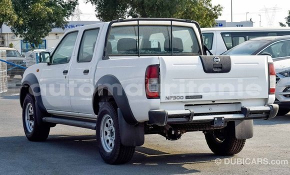 Acheter Import Voiture Nissan NP 300 Blanc à Import - Dubai, Adrar Acheter Import Voiture Nissan NP 300 Blanc à Import - Dubai, Adrar