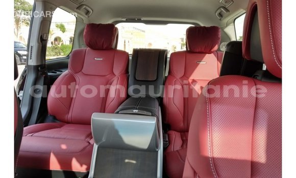 Buy Import Toyota Land Cruiser Black Car in Import - Dubai in Adrar Buy Import Toyota Land Cruiser Black Car in Import - Dubai in Adrar