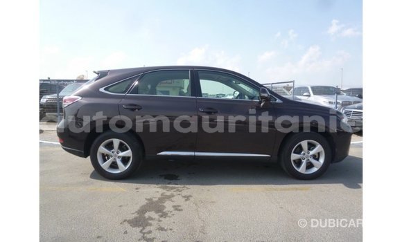 Buy Import Lexus RX Brown Car in Import - Dubai in Adrar Buy Import Lexus RX Brown Car in Import - Dubai in Adrar