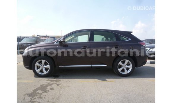 Buy Import Lexus RX Brown Car in Import - Dubai in Adrar Buy Import Lexus RX Brown Car in Import - Dubai in Adrar