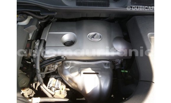 Buy Import Lexus RX Brown Car in Import - Dubai in Adrar Buy Import Lexus RX Brown Car in Import - Dubai in Adrar