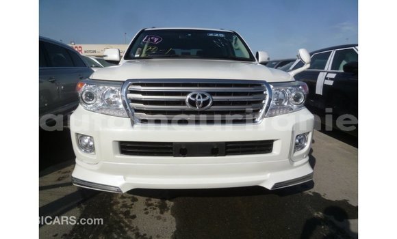 Acheter Import Voiture Toyota Land Cruiser Blanc à Import - Dubai, Adrar Acheter Import Voiture Toyota Land Cruiser Blanc à Import - Dubai, Adrar