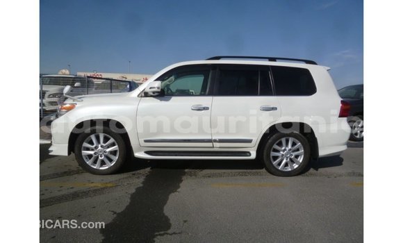 Acheter Import Voiture Toyota Land Cruiser Blanc à Import - Dubai, Adrar Acheter Import Voiture Toyota Land Cruiser Blanc à Import - Dubai, Adrar