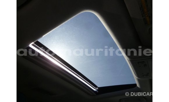 Acheter Import Voiture Toyota Land Cruiser Blanc à Import - Dubai, Adrar Acheter Import Voiture Toyota Land Cruiser Blanc à Import - Dubai, Adrar