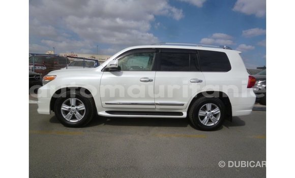 Acheter Import Voiture Toyota Land Cruiser Blanc à Import - Dubai, Adrar Acheter Import Voiture Toyota Land Cruiser Blanc à Import - Dubai, Adrar