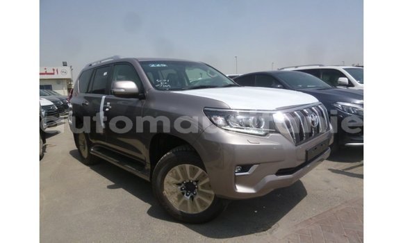 Acheter Import Voiture Toyota Prado Marron à Import - Dubai, Adrar Acheter Import Voiture Toyota Prado Marron à Import - Dubai, Adrar