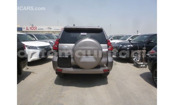 Acheter Import Voiture Toyota Prado Marron à Import - Dubai, Adrar Acheter Import Voiture Toyota Prado Marron à Import - Dubai, Adrar