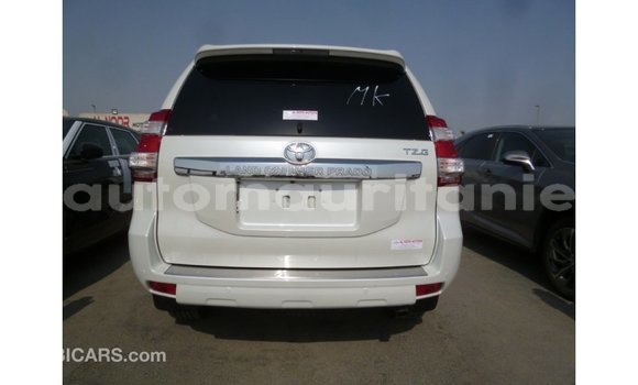 Acheter Import Voiture Toyota Prado Blanc à Import - Dubai, Adrar Acheter Import Voiture Toyota Prado Blanc à Import - Dubai, Adrar