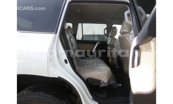 Acheter Import Voiture Toyota Prado Blanc à Import - Dubai, Adrar Acheter Import Voiture Toyota Prado Blanc à Import - Dubai, Adrar