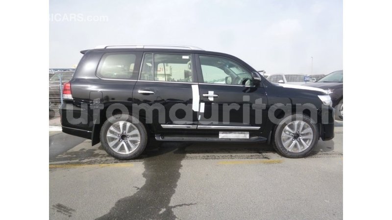 Big with watermark df3eed61 2528 4478 81bd 76f11b1e3177