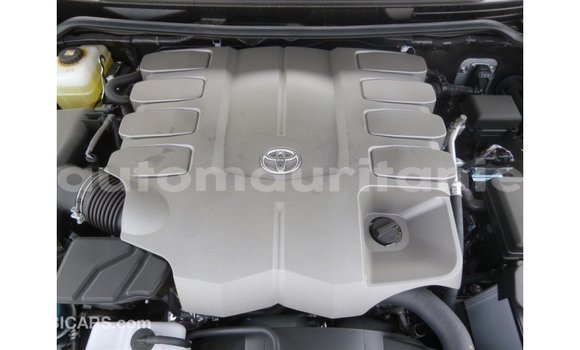 Acheter Import Voiture Toyota Land Cruiser Noir à Import - Dubai, Adrar Acheter Import Voiture Toyota Land Cruiser Noir à Import - Dubai, Adrar
