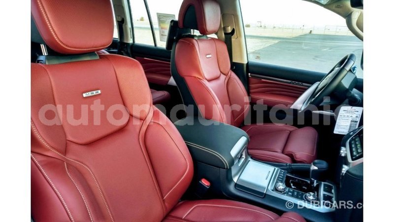 Big with watermark 2980327b 6d61 45cc a89d 0f5f62158719