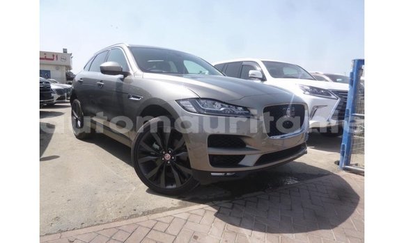 Acheter Import Voiture Jaguar F-Pace Autre à Import - Dubai, Adrar