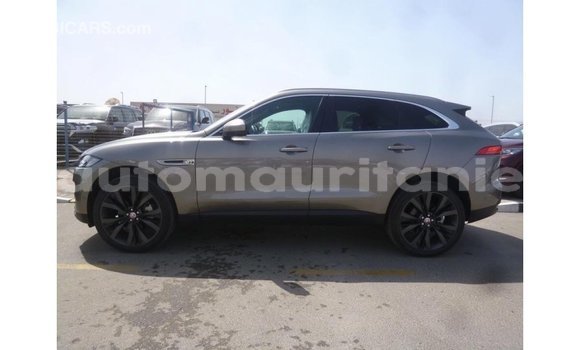 Acheter Import Voiture Jaguar F-Pace Autre à Import - Dubai, Adrar Acheter Import Voiture Jaguar F-Pace Autre à Import - Dubai, Adrar