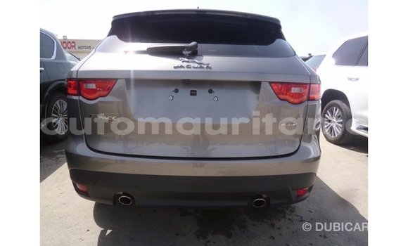 Acheter Import Voiture Jaguar F-Pace Autre à Import - Dubai, Adrar Acheter Import Voiture Jaguar F-Pace Autre à Import - Dubai, Adrar