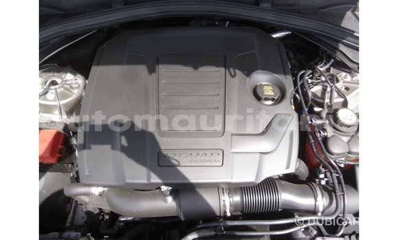 Acheter Import Voiture Jaguar F-Pace Autre à Import - Dubai, Adrar Acheter Import Voiture Jaguar F-Pace Autre à Import - Dubai, Adrar