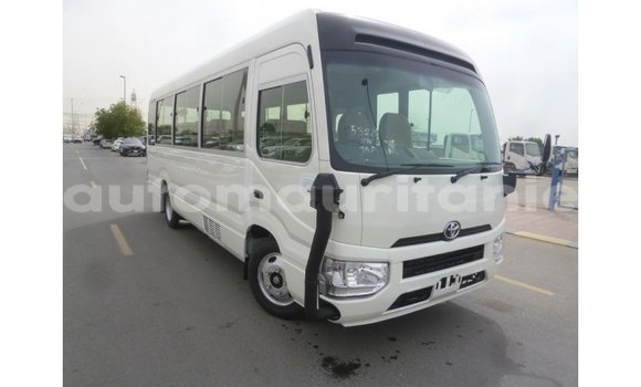 Acheter Import Voiture Toyota Coaster Blanc à Import - Dubai, Adrar Acheter Import Voiture Toyota Coaster Blanc à Import - Dubai, Adrar