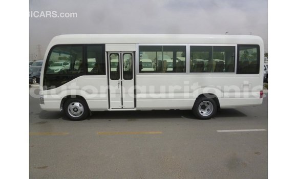 Acheter Import Voiture Toyota Coaster Blanc à Import - Dubai, Adrar Acheter Import Voiture Toyota Coaster Blanc à Import - Dubai, Adrar