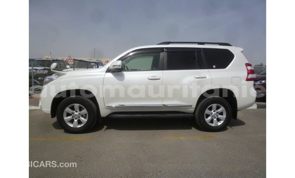 Acheter Import Voiture Toyota Prado Blanc à Import - Dubai, Adrar Acheter Import Voiture Toyota Prado Blanc à Import - Dubai, Adrar
