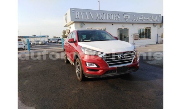 Buy Import Hyundai Tucson Red Car in Import - Dubai in Adrar Buy Import Hyundai Tucson Red Car in Import - Dubai in Adrar